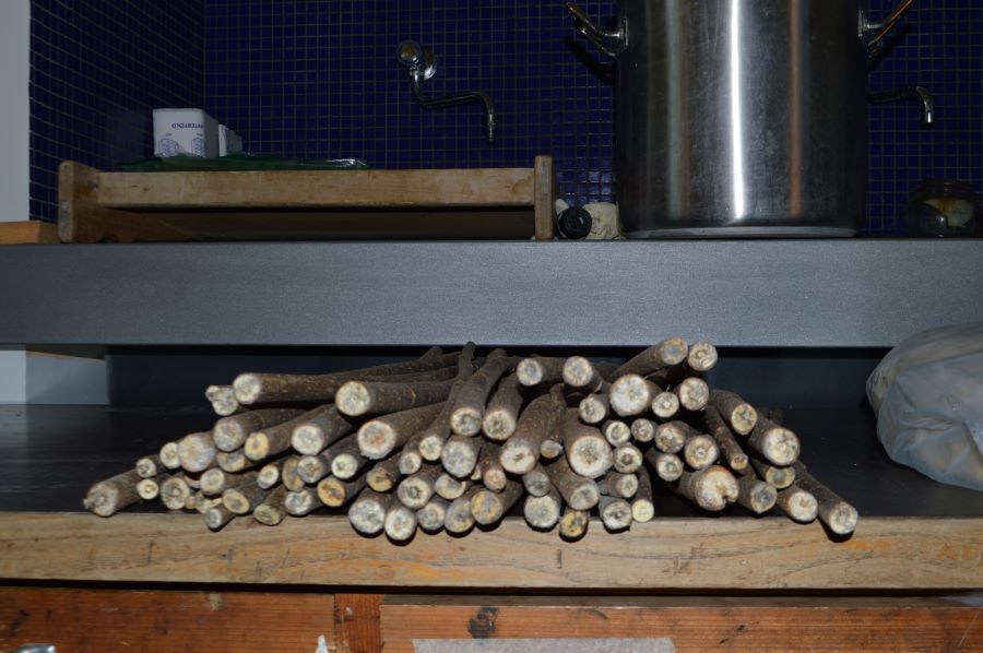 국립로마미술대학교에서 진행된 안치용 한지장 워크숍 모습